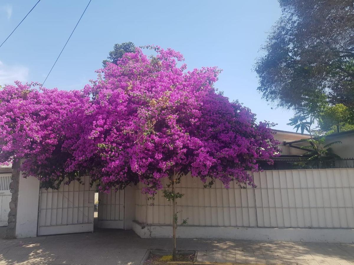 Refugio En Barrio Italia - Casa Completa O Por Habitaciones Santiago Dış mekan fotoğraf